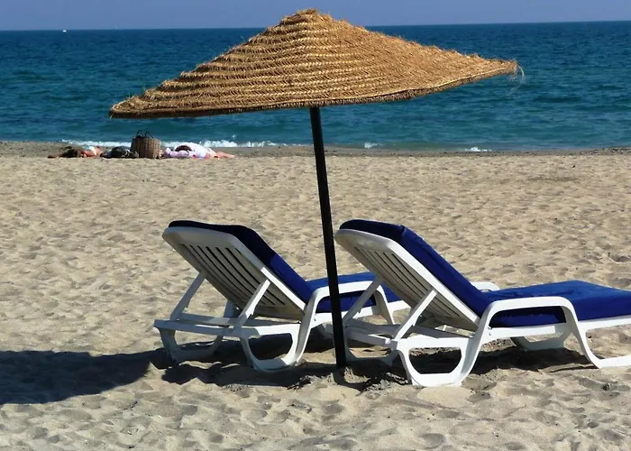 Daire Studio Cabine A Sete Avec Terrasse, Parking Prive, Acces Plage - Fr-1-472A-156